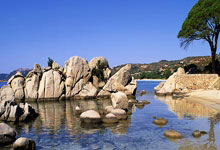 海珠石基村，养生夜生活新地标